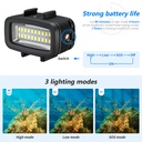 Sea Frogs SL-100 LED Light 700lm