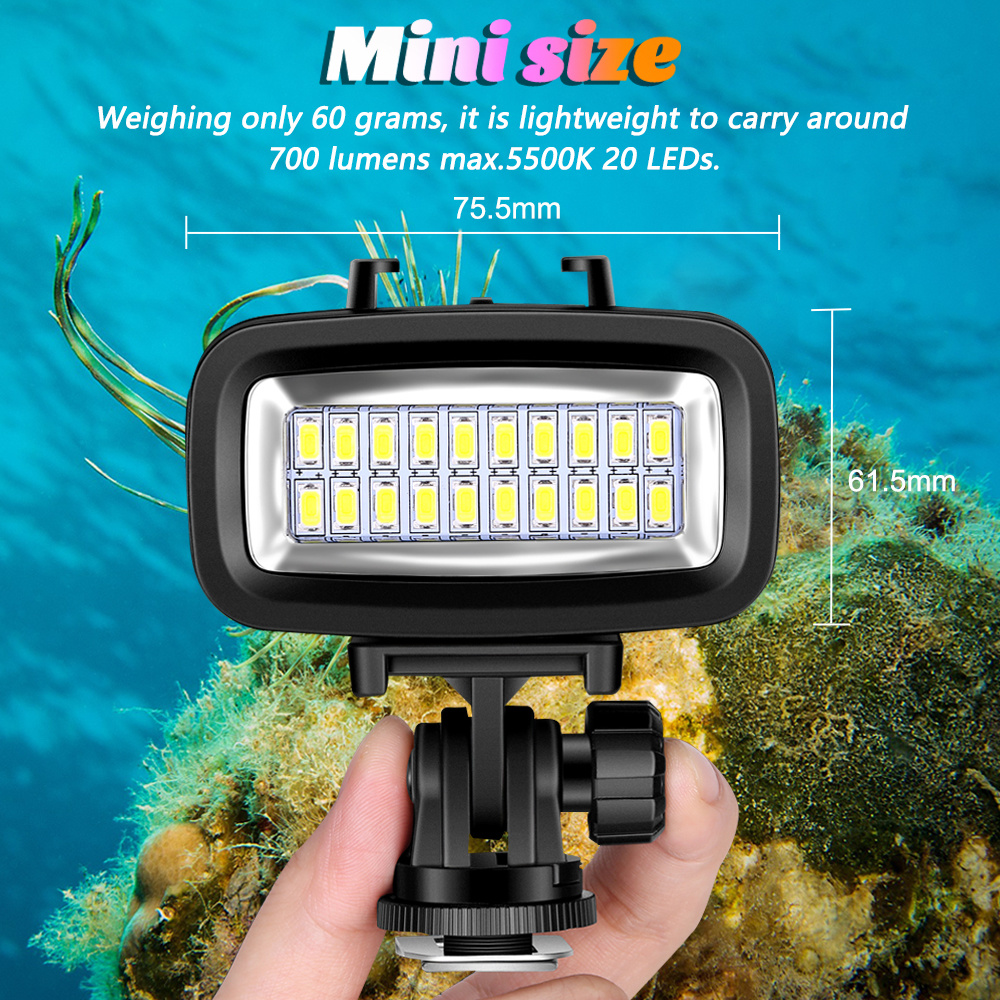 Sea Frogs SL-100 LED Light 700lm