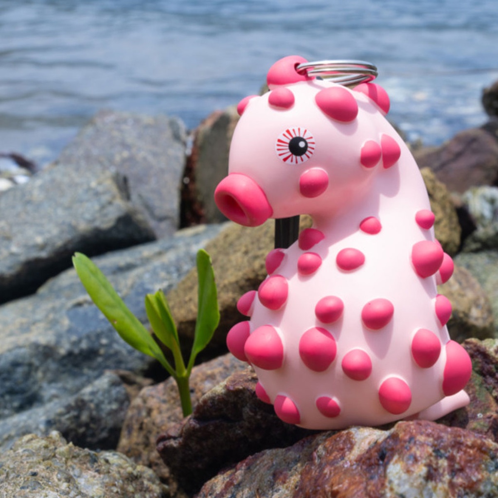 Oceanarium Pygmy Seahorse Octopus Holder Tenerife