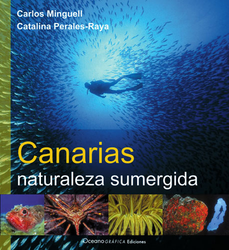 Oceanografica Canarias Naturaleza Sumergida