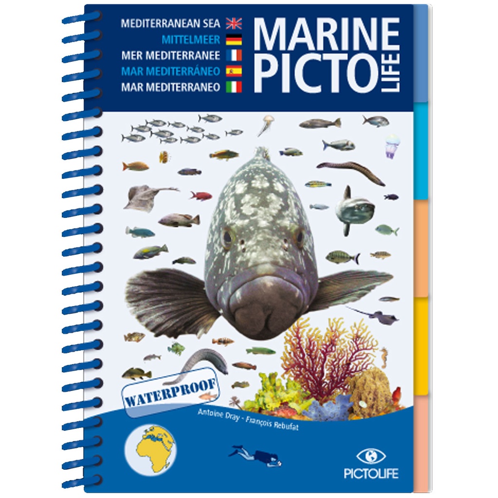 Pictolife Guía Especies del Mediterráneo