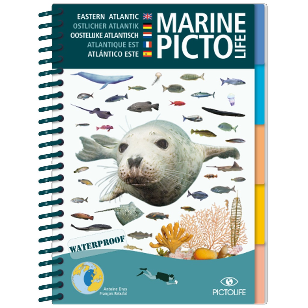 Pictolife Guía Especies del Atlántico Este