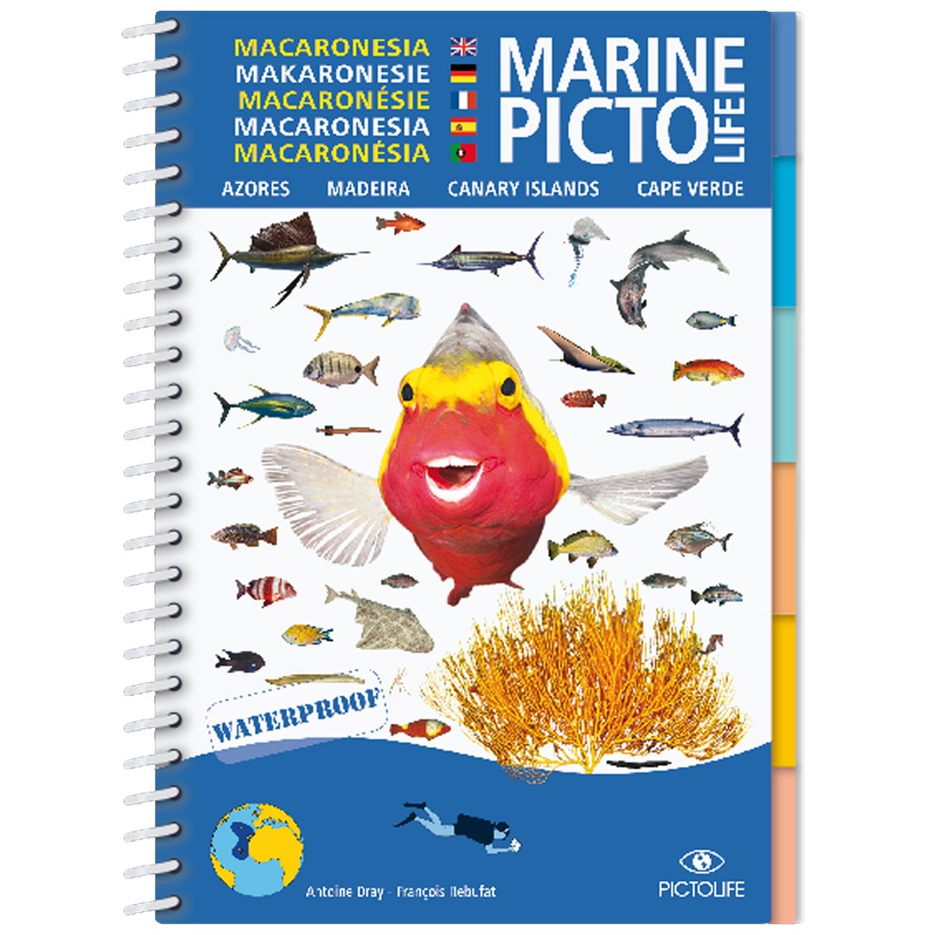 Pictolife Guía Especies de Canarias, Azores, Madeira, Cabo Verde